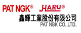 pat-ngk-co-ltd.png